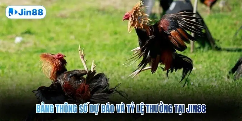 Bảng thông số dự báo và tỷ lệ thưởng tại JIN88
