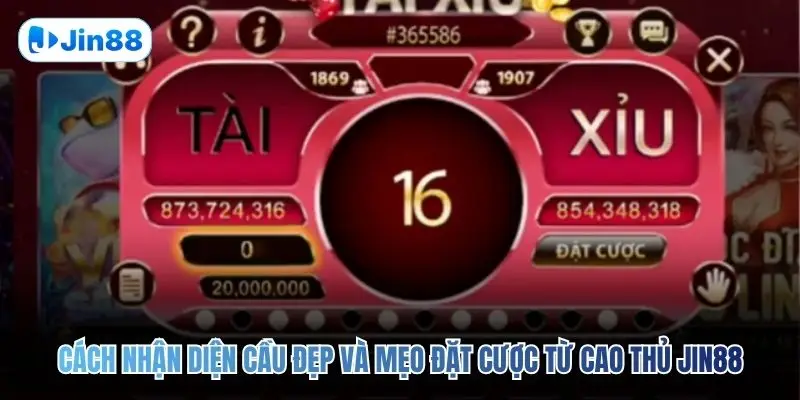 Cách nhận diện cầu đẹp và mẹo đặt cược từ cao thủ JIN88